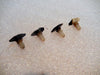 Datsun 280ZX Weather Seal Clips
